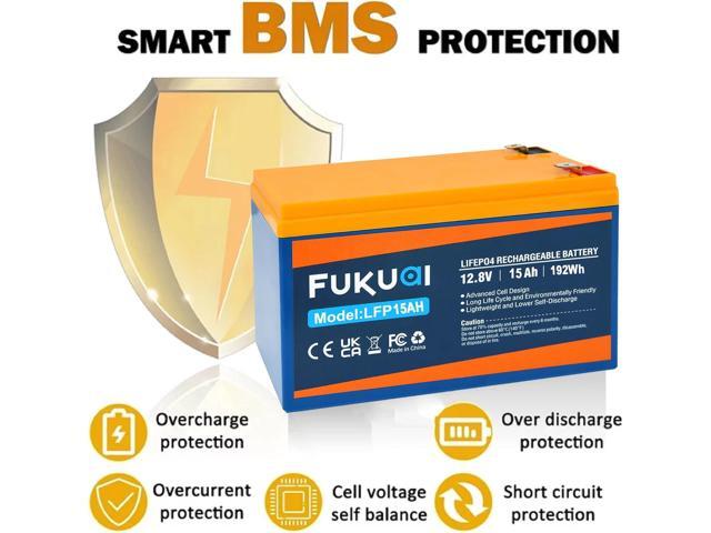 12V 15Ah Lithium LiFePO4 Battery, 2000+ Cycles Maintenance-Free Battery for Solar System, Power Wheels, Scooters, Small UPS and More, Built-in 15A BMS
