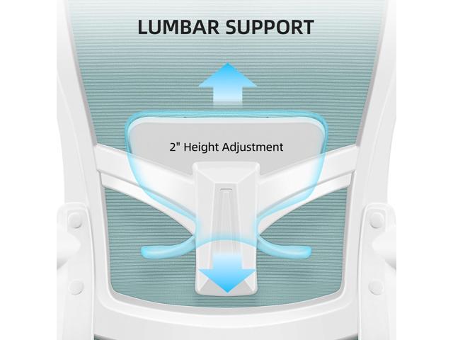 FelixKing Office Chair, Desk Chair with Adjustable Lumbar Support, Ergonomic Computer Chair with High Back and Armrest, Adjustable Height Gaming...