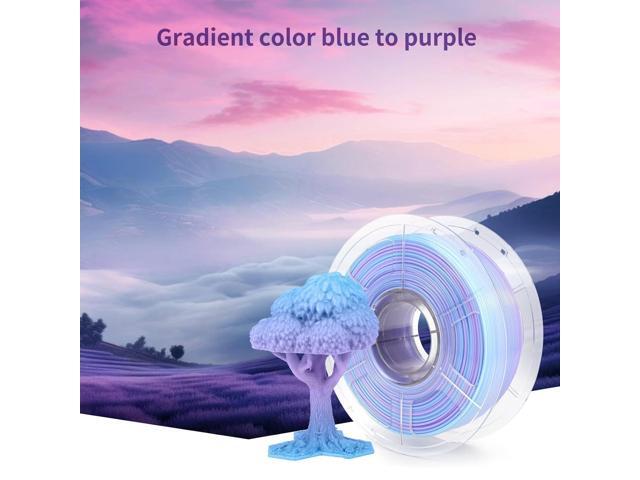IEMAI PETG Filament 1.75mm, Translucent Dual Color Gradient Blue to Purple, High-Speed 3D Printer Filament Up to 600mm/s, 1kg Spool for Artistic...