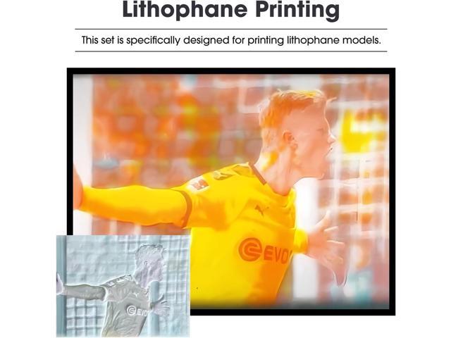 eSUN Lithophane Yellow PLA+ Filament 1.75mm, 3D Printer Filament PLA Plus, Dimensional Accuracy +/- 0.03mm, 1KG Spool (2.2 LBS) Cameo 3D Printing...