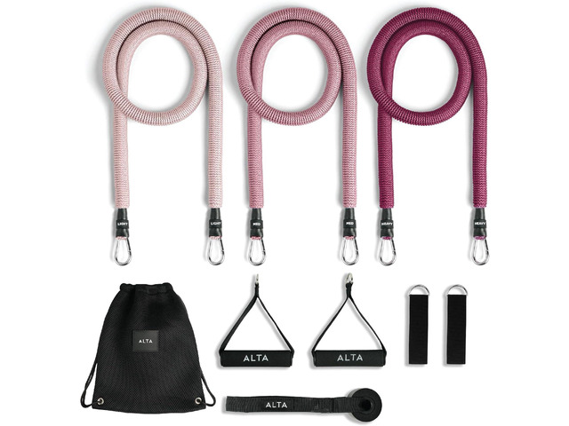 ALTA Resistance Tube Bands for Women - Full Kit Resistance Bands for Working Out with Handles, Ankle Straps, Door Anchor Home Workout Bands for...