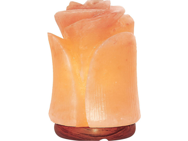 Spantik Tulip Shape Himalayan Pink Salt Lamp Hand-Carved Rock Salt Flower Lamp Natural Salt Night Light Desk Lamp for Home Office Decor ...