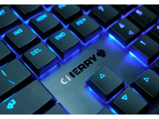 Cherry MX 10.0N RGB Mechanical Keyboard MX Low Profile Speed switches, Aluminum housing, Premium Keyboard for Gaming and Work. G8A-25010LVBUS-2