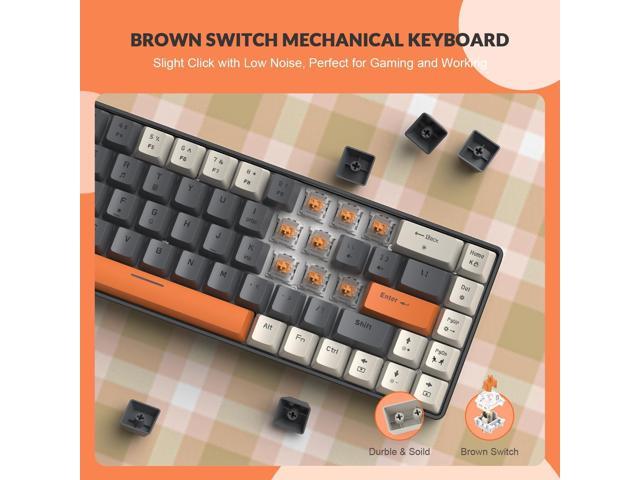 T8 60% Mechanical Gaming Keyboard,68 Keys TKL Compact Layout Mini Keyboard,18 Chroma RGB Backlit,Slight Clicky Brown Switch,Anti-ghosting,Pro...