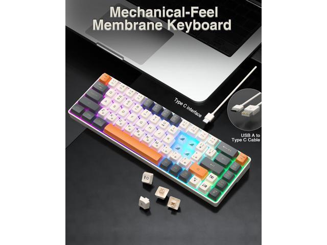 60 Percent Keyboard,RGB Backlit Gaming Keyboard USB-C Wired,Portable 68 Keys Compact Mini Keyboards for Business Trips,Office,PC Games...