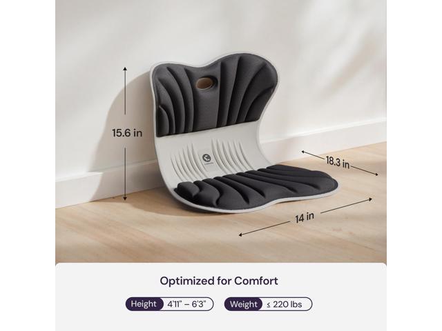 CABEVIBE M1 Ergonomic Chair Back Support Lumbar Support Seat Back Support Pain Relief Space Memory Foam Seat, Portable for Office Chair, Black