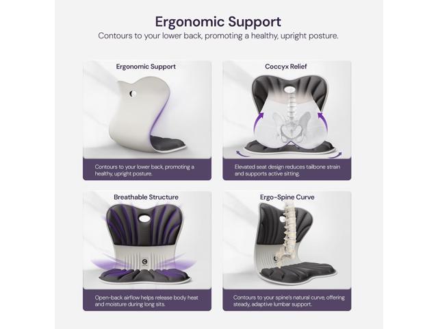 CABEVIBE M1 Ergonomic Chair Back Support Lumbar Support Seat Back Support Pain Relief Space Memory Foam Seat, Portable for Office Chair, Black