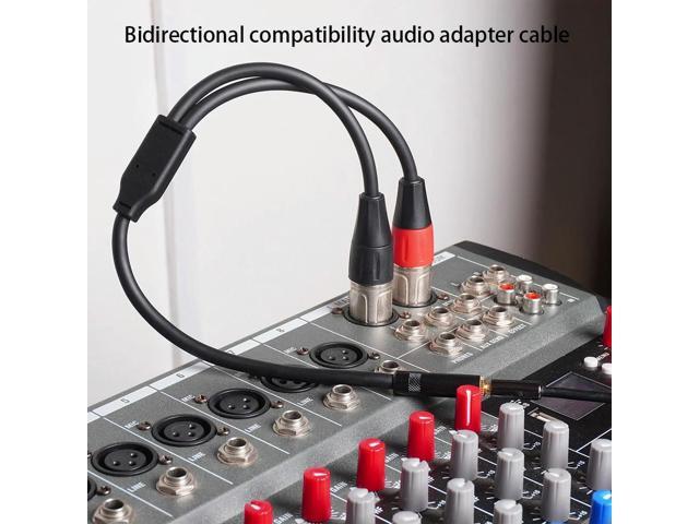 3.5mm 1/8 To XLR Microphone Cable 0.3m Stereo TRS To Dual XLR Female Transforming Cord for Stereo Mic To L & R Audio Track