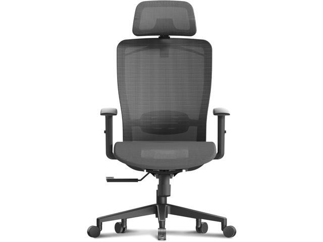 FLEXISPOT Ergonomic Office Chair, High Back Mesh Swivel Computer Chair, Executive Office Desk Chairs, with Adjustable Lumbar Support/2D...