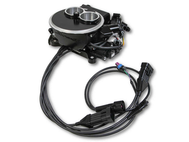 FUEL INJECTION SYS 2BBL BLACK