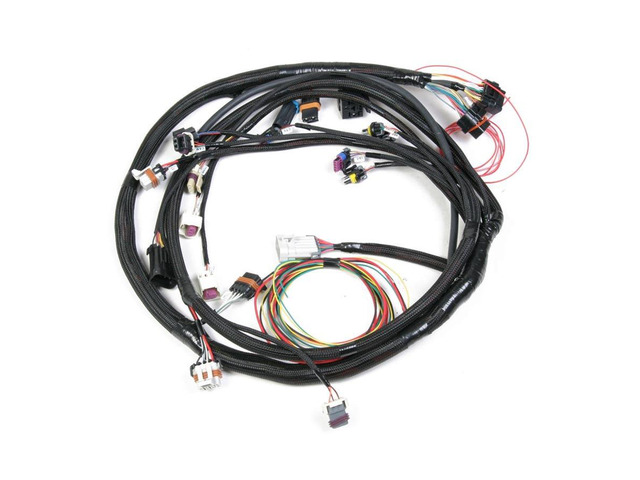 FUEL INJECTION WIRE HARNESS