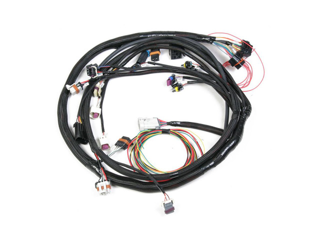 FUEL INJECTION WIRE HARNESS