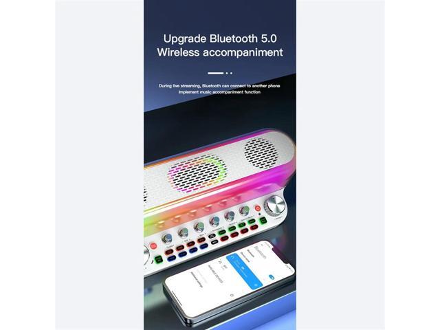 Portable Loud Karaoke Speaker with Two Mic Wireless Bluetooth Sound Card Speaker All-In-1 Sound Card for FamilyKTV White