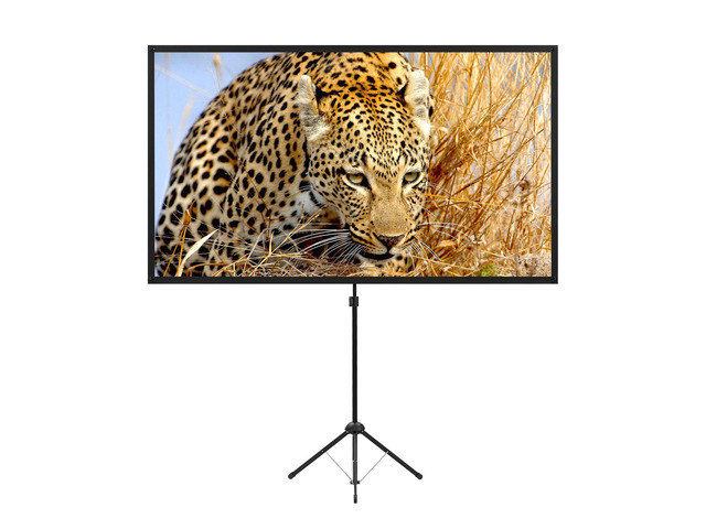 Portable Projector Screen with Stand, Outdoor Movie Screen, 80 Inch 16:9, Light-Weight, Mobile and Compact, Easy Setup and Carrying, Projection...
