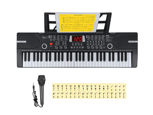 Piano Keyboard, 61 Keys Beginner Electronic Keyboard Portable Digital Music Keyboard, Early Education Music Instrument with Microphone & Music...