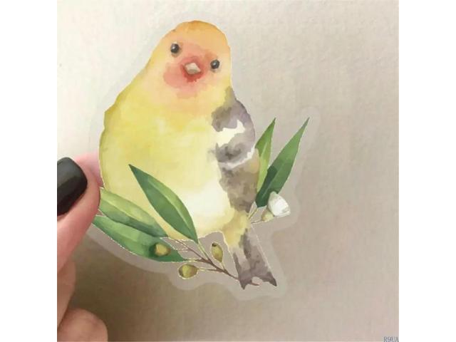 50 Sheets Waterproof Sticker Luggage Sticker Watercolor Bird Sticker for Phone