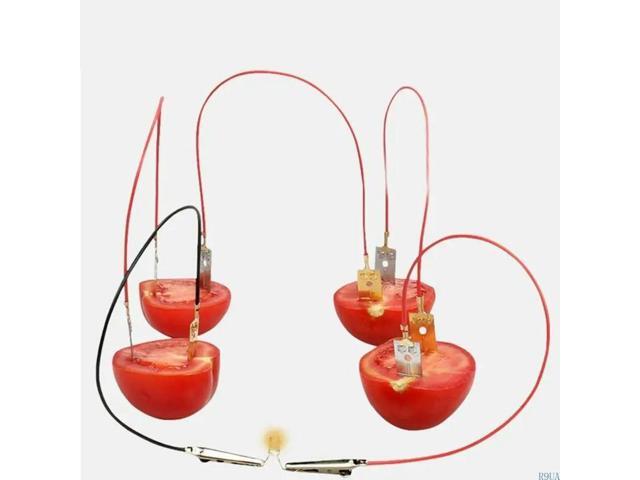 Fruit Power Generation Experiment Hands on Assembly Toy Fruit Powered