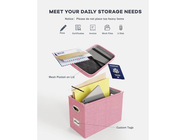 Oterri File Organizer Box with Lid, Hanging Filing File Box with Mesh Pocket, Document Organizer Box for Letter Files, Portable Storage Box with...