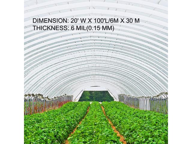 Greenhouse Film 20 x 100 ft, Greenhouse Polyethylene Film 6 Mil Thickness, Greenhouse Plastic Greenhouse Clear Plastic Film UV Resistant,...