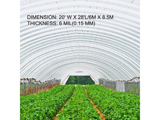 Greenhouse Film 20 x 28 ft, Greenhouse Polyethylene Film 6 Mil Thickness, Greenhouse Plastic Greenhouse Clear Plastic Film UV Resistant,...