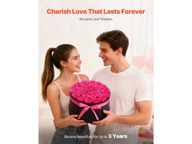 Forever Flowers, 27 Preserved Roses in a Box, Eternal Flowers Immortal Bouquet Birthday Present for Delivery Prime Women Her Wife Mothers,...