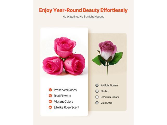 Forever Flowers, 27 Preserved Roses in a Box, Eternal Flowers Immortal Bouquet Birthday Present for Delivery Prime Women Her Wife Mothers,...