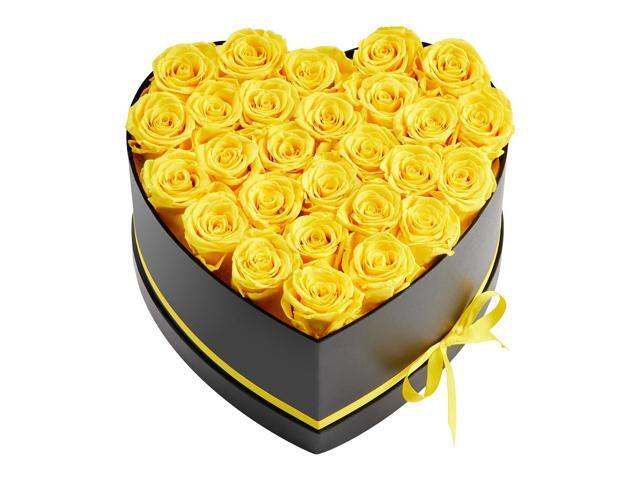 Forever Flowers, 27 Preserved Roses in a Heart Shape Box, Eternal Flowers Immortal Bouquet Birthday Present for Women Her Wife Mothers,...