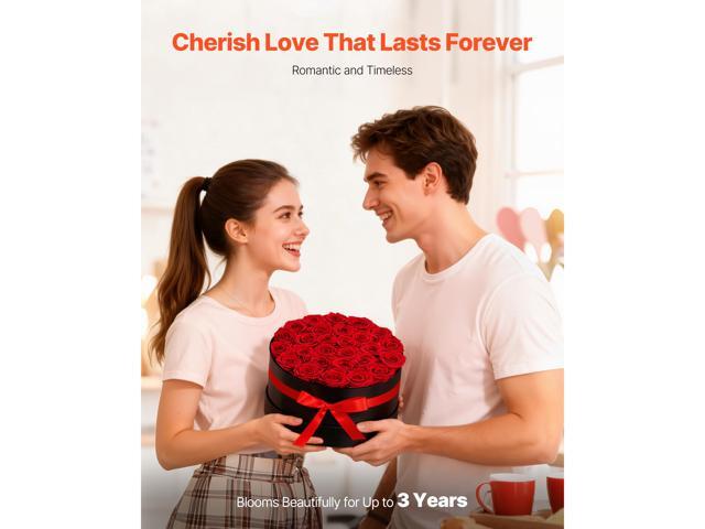 Forever Flowers, 27 Preserved Roses in a Box, Eternal Flowers Immortal Bouquet Birthday Present for Delivery Prime Women Her Wife Mothers,...