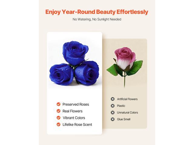 Forever Flowers, 27 Preserved Roses in a Heart Shape Box, Eternal Flowers Immortal Bouquet Birthday Present for Women Her Wife Mothers,...