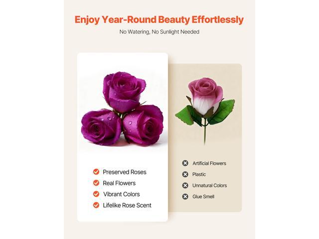 Forever Flowers, 27 Preserved Roses in Heart Shape Box, Eternal Flowers Immortal Bouquet Birthday Present for Women Her Wife Mothers, Anniversary,...