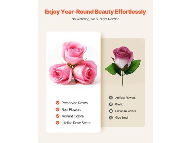 VEVOR Forever Flowers, 50 Preserved Roses in a Box, Eternal Flowers Immortal Bouquet Birthday Present for Delivery Prime Women Her Wife Mothers,...