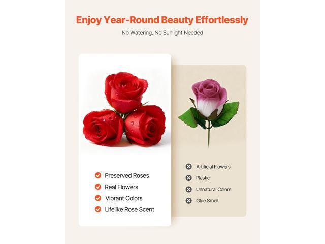 Forever Flowers, 27 Preserved Roses in a Heart Shape Box, Eternal Flowers Immortal Bouquet Birthday Present for Delivery Prime Women Her Wife...