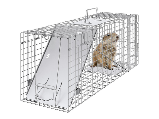 Live Animal Cage Trap, 31' x 10' x 12' Humane Cat Trap Galvanized Iron, Folding Animal Trap with Handle for Rabbits, Stray Cats, Squirrels,...