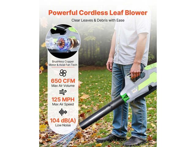 Cordless Leaf Blower, 60V Powerful Electric Leaf Blower with 5.0Ah Battery, Fast Charging & Quiet Operation, 3 Speed Control, 650 CFM/125 MPH...