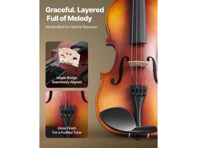 Violin 3/4 Size for Adults, Violin Fiddle Set for Beginners with Hard Case, Rosin, Bow, Shoulder Rest, Bridge, Tuner and Extra Strings,...