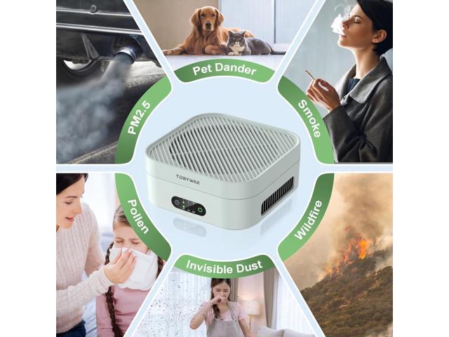Air Purifiers for Home 600 Sq. Ft, TDBYWAE H13 True HEPA Air Purifier with USB Cable for Pets Dust Dander Pollen Odor Smoke, Small Portable Air...