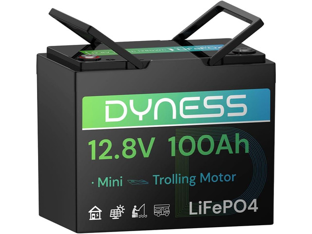 Dyness 12V 100Ah LiFePO4 Battery Mini TM, BCI Group 24, 12V 100Ah Lithium Battery with Low-Temp Protection Built-in 100A BMS, 12.8V Deep Cycles...