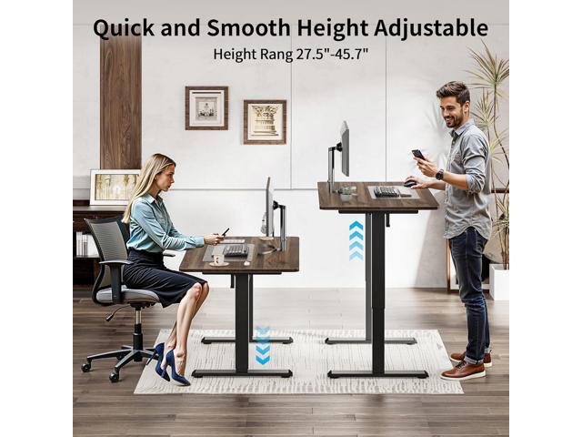 BIZUM 40x24 Inch Electric Standing Desk with Memory Presets, Quiet Motor Height Adjustable Stand Up Desk for Home Office & Gaming, Ergonomic Sit...