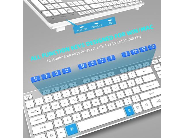 Slim Wireless Keyboard for Mac and Windows, Ultra Quiet Low-Profile Flat Key Board with Full-Size Keys, 2.4GHz Wire Less for PC, Mac, Windows...