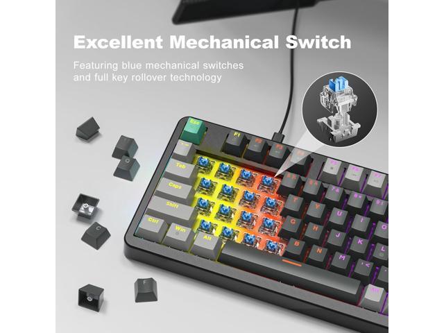 GEEZER Mechanical Gaming Keyboard with LED Backlit, Blue Switch, Volume Knob, 96 Keys Full Size Compact USB Wired Computer Keyboards for Office...