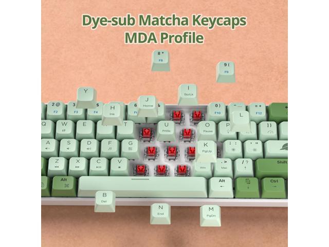 60 Percent Gaming Keyboard Green Matcha Keyboard 61 Keys Wired Mechanical Keyboard Red Switch RGB MDA Keycaps for Windows PC Laptop Gamers(61 Matcha)
