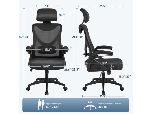 Yaheetech Ergonomic Office Chair, High Back Desk Chair with Headrest and Flip-up Armrest Lumbar Support for Home Office Meeting Room Study, Black