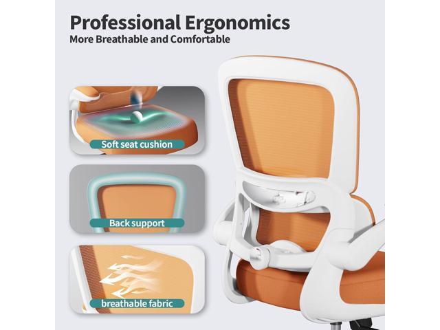 TRALT Office Chair - Ergonomic Desk Chair with Adjustable Lumbar Support, Mesh Computer Chair, Executive Chairs for Home Office Comfortable Lumbar...