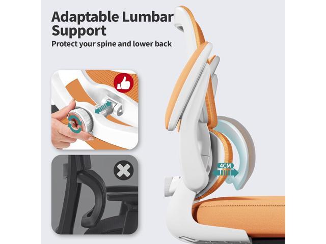 TRALT Office Chair - Ergonomic Desk Chair with Adjustable Lumbar Support, Mesh Computer Chair, Executive Chairs for Home Office Comfortable Lumbar...