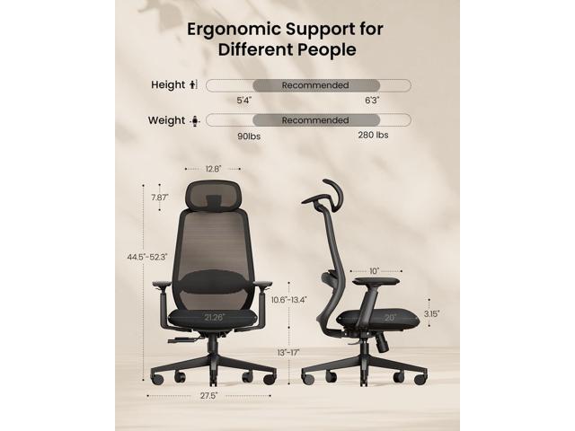 ProtoArc Ergonomic Office Chair EC200 High-Back Mesh Computer Chair with Lumbar Support, 3D Adjustable Headrest & Sliding Seat for 8+ Hour...
