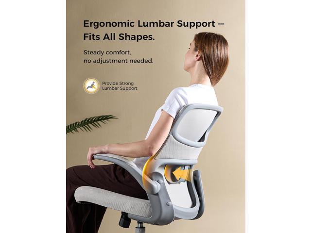 Office Chair, Mesh Ergonomic Desk Chairs, Comfy Computer Gaming Chair with Adjustable Height & Flip-up Armrest, Lumbar Support & Swivel Function...