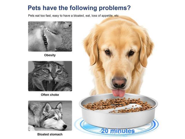 304 Stainless Steel Slow Feeder Dog Bowls with Non-Slip Mat Dog Water Bowl Anti-Choking Pet Bowl for Small & Medium Dogs