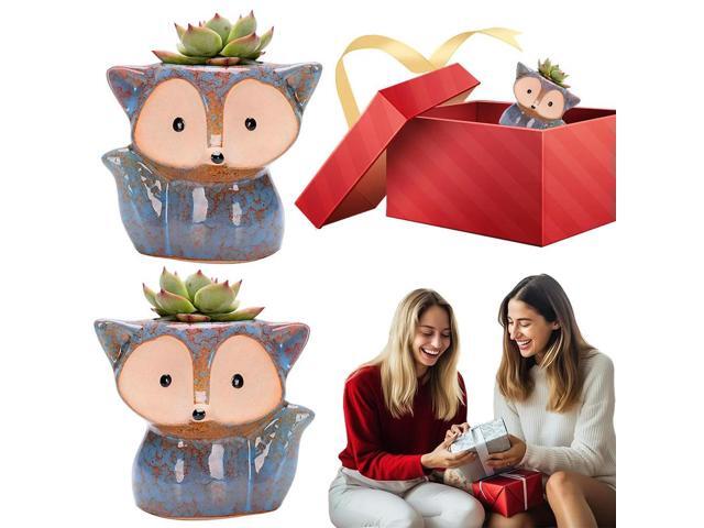 Fox Ceramic Succulent Pot Cartoon Bonsai Pot Multi-Function Small Plant Holder with Drain Hole Succulent Planter for Home Office