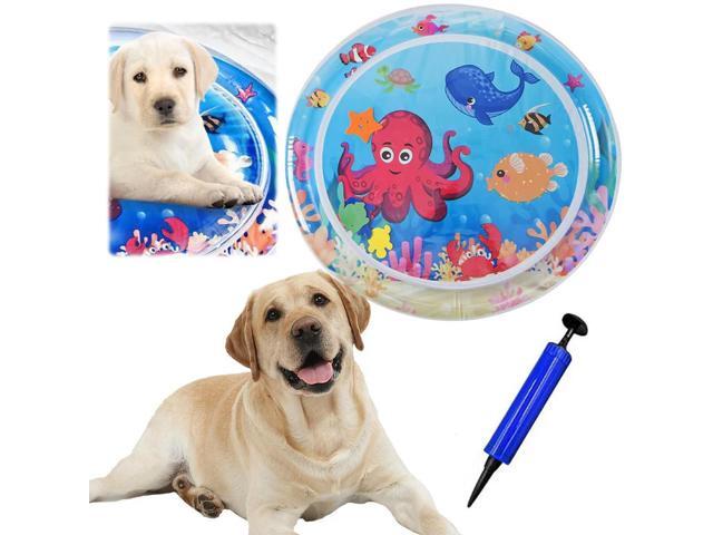 Interactive Sensory Play Mat Summer Cooling Pad Cat Water Sensor Play Mat for Indoor Cats Kitten