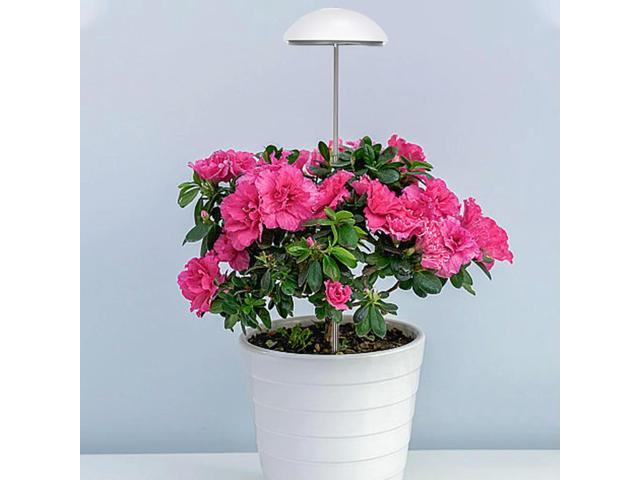 LED Grow Light with Auto On/Off Timer Grow Lamp Height Adjustable Plant Grow LED Light for Indoor Hydroponic Plants Veg Flower